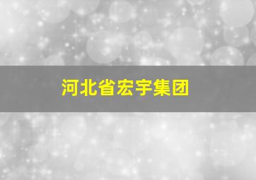 河北省宏宇集团