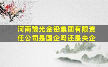 河南豫光金铅集团有限责任公司是国企吗还是央企