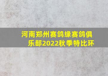 河南郑州赛鸽缘赛鸽俱乐部2022秋季特比环