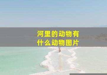 河里的动物有什么动物图片