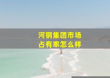 河钢集团市场占有率怎么样