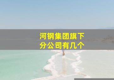 河钢集团旗下分公司有几个