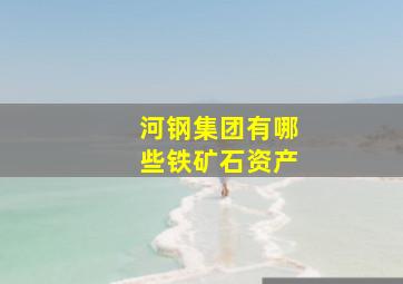 河钢集团有哪些铁矿石资产