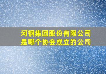 河钢集团股份有限公司是哪个协会成立的公司