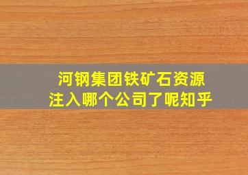 河钢集团铁矿石资源注入哪个公司了呢知乎