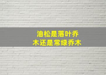 油松是落叶乔木还是常绿乔木