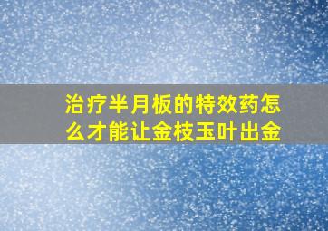 治疗半月板的特效药怎么才能让金枝玉叶出金