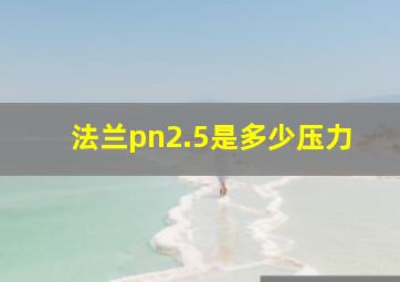 法兰pn2.5是多少压力