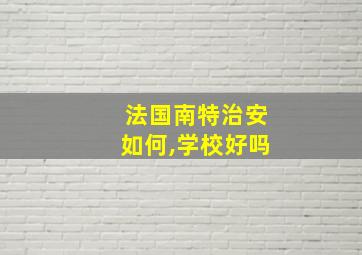 法国南特治安如何,学校好吗