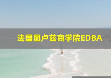 法国图卢兹商学院EDBA