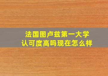 法国图卢兹第一大学认可度高吗现在怎么样