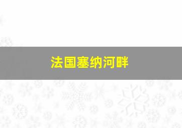 法国塞纳河畔