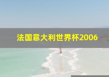 法国意大利世界杯2006