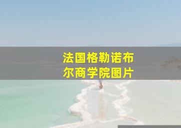 法国格勒诺布尔商学院图片