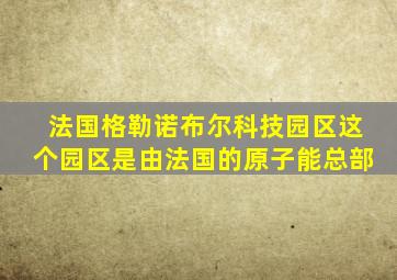 法国格勒诺布尔科技园区这个园区是由法国的原子能总部