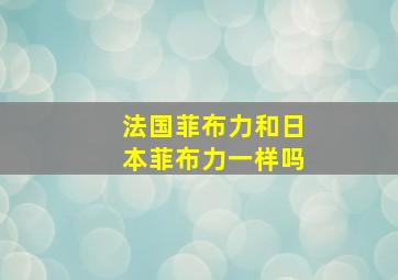 法国菲布力和日本菲布力一样吗