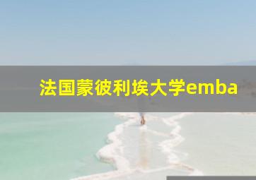 法国蒙彼利埃大学emba