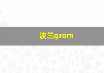 波兰grom