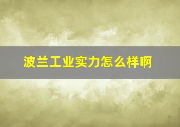 波兰工业实力怎么样啊