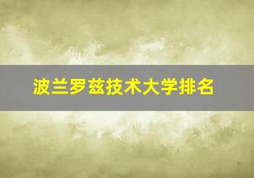 波兰罗兹技术大学排名