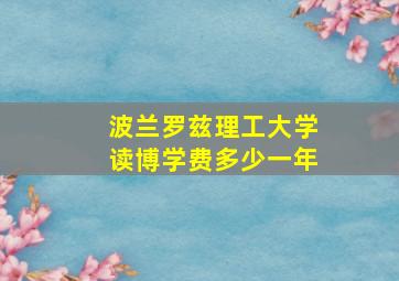 波兰罗兹理工大学读博学费多少一年