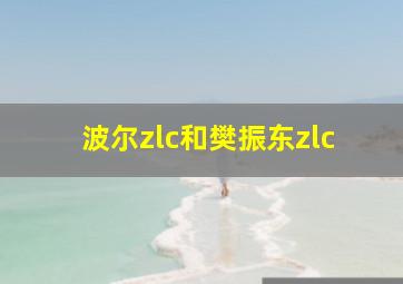 波尔zlc和樊振东zlc