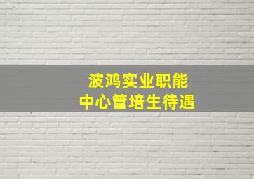 波鸿实业职能中心管培生待遇