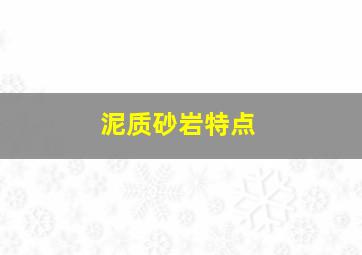 泥质砂岩特点