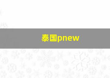 泰国pnew