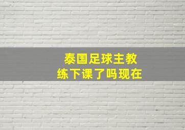 泰国足球主教练下课了吗现在