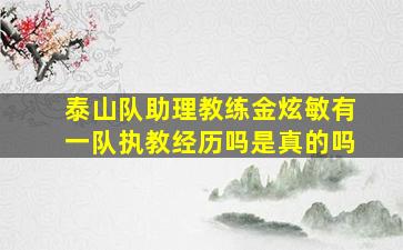 泰山队助理教练金炫敏有一队执教经历吗是真的吗