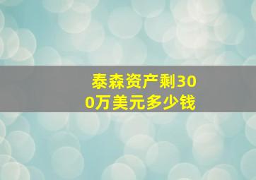 泰森资产剩300万美元多少钱