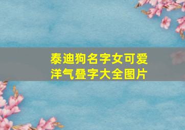 泰迪狗名字女可爱洋气叠字大全图片