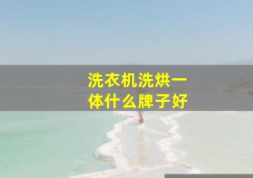 洗衣机洗烘一体什么牌子好