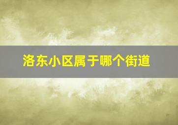 洛东小区属于哪个街道