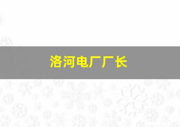 洛河电厂厂长