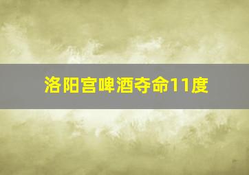 洛阳宫啤酒夺命11度