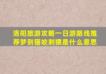 洛阳旅游攻略一日游路线推荐梦到猫咬刺猥是什么意思