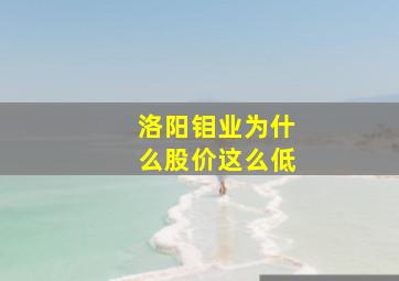 洛阳钼业为什么股价这么低