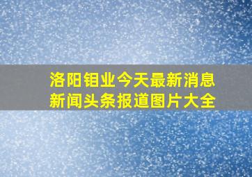 洛阳钼业今天最新消息新闻头条报道图片大全