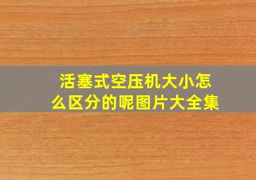 活塞式空压机大小怎么区分的呢图片大全集