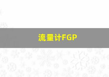 流量计FGP