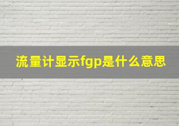 流量计显示fgp是什么意思