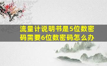 流量计说明书是5位数密码需要6位数密码怎么办