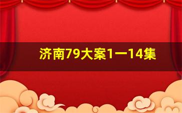 济南79大案1一14集