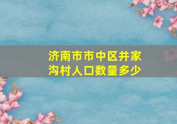 济南市市中区井家沟村人口数量多少