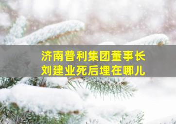 济南普利集团董事长刘建业死后埋在哪儿