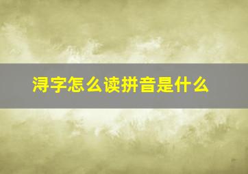 浔字怎么读拼音是什么