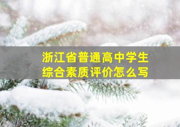 浙江省普通高中学生综合素质评价怎么写