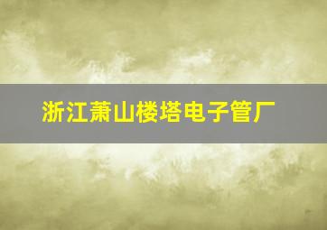 浙江萧山楼塔电子管厂